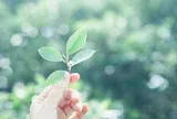 Những điều nên học cách buông bỏ ở tuổi trung niên