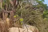 Phát hiện thi thể nam giới trên núi cao ở Lâm Đồng: Nghi có nhiều dấu hiệu bất thường