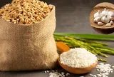 Gạo để lâu vẫn trắng thơm, không lo mối mọt nếu áp dụng những mẹo bảo quản này