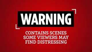 Video: Xe tải đâm văng xe cảnh sát rồi bỏ chạy và cái kết