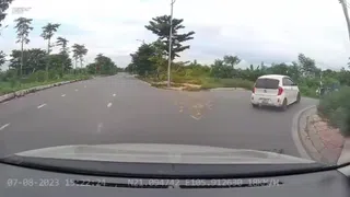 Video: Tài xế luồn lách vượt qua thanh chắn tàu khiến người xem "thót tim"