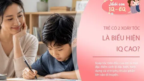 Sự thật về "tin đồn" trẻ có 2 xoáy tóc là biểu hiện của IQ cao