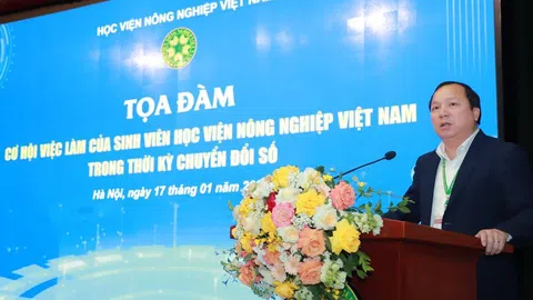 Cơ hội việc làm của sinh viên trong thời kỳ chuyển đổi số