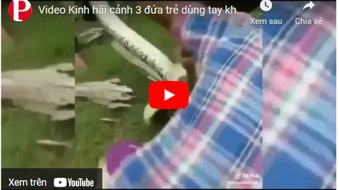Video: Kinh hãi cảnh 3 đứa trẻ dùng tay không tóm gọn trăn "khủng" đang quấn chặt con chó nhà
