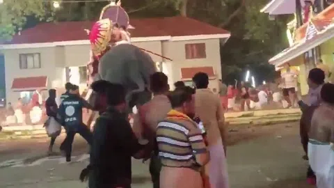 Clip: Khoảnh khắc kinh hoàng 2 con voi nổi cơn thịnh nộ tấn công người trong lễ hội