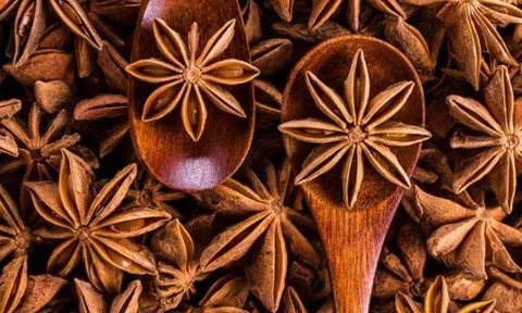 Hoa hồi có tác dụng gì? Cách sử dụng hoa hồi ai cũng nên biết