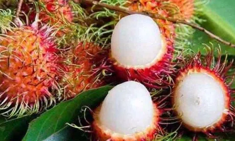 Ăn chôm chôm có giúp giảm cân không? Những lợi ích ít biết của quả chôm chôm