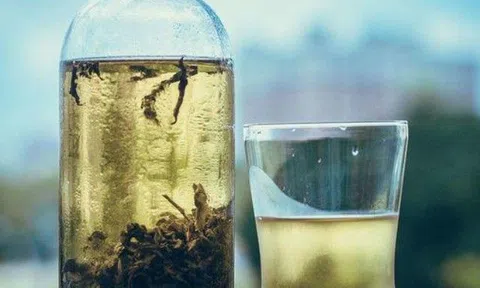 Loại nước uống "trường thọ" ai cũng pha nóng nhưng ủ lạnh còn có thêm 5 lợi ích bất ngờ này