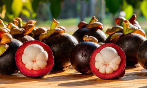 Măng cụt có tác dụng gì? Ăn măng cụt có nổi mụn không?