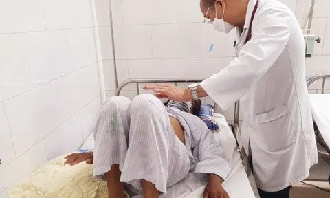 Đi du lịch về, người phụ nữ sốt cao, nguy kịch: Nguyên nhân đến từ loài côn trùng ai cũng ghét