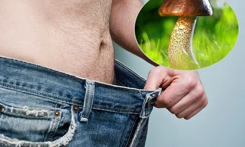 Tại sao mọi đàn ông đều có "cậu nhỏ" giống như cây nấm? Hóa ra liên quan tới kiểu quan hệ thời xa xưa