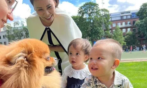 Leon nhà Hồ Ngọc Hà sang Thụy Điển vẫn thích trêu chó, biểu cảm thích thú quá đáng yêu