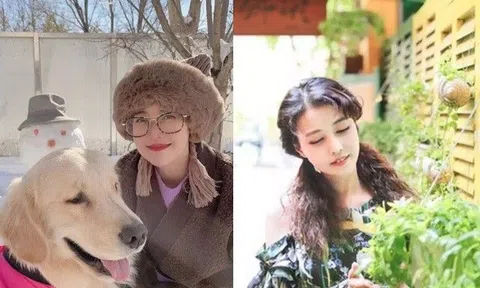 Ngôi sao 24/7: Bị nói "đáng thương" vì U60 không chồng con, Chu Chỉ Nhược Cbiz khoe tài sản 1.600 tỷ