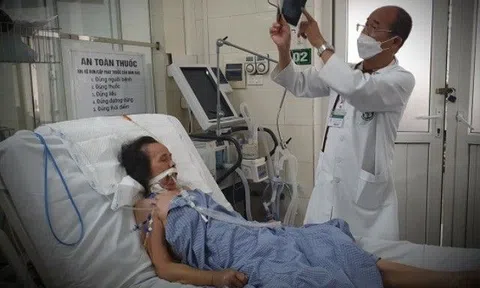 Người phụ nữ Hải Phòng nguy kịch vì căn bệnh "tử thần do côn trùng đốt, cảnh báo ai dễ nhiễm