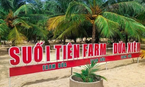 Hòa mình với bãi cát trắng trải dài tại Farm Dừa Suối Tiên