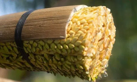 Mật hoa dừa có tác dụng gì? Mật ong hay mật hoa dừa tốt hơn?