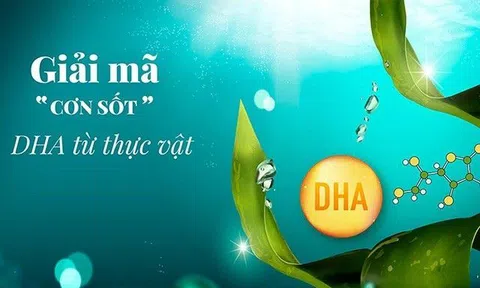 Giải mã “cơn sốt” DHA từ thực vật 