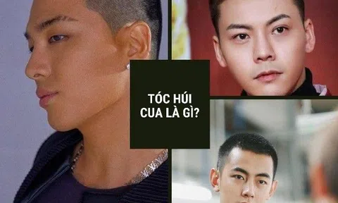 15 Kiểu tóc húi cua đẹp và chất dẫn đầu xu hướng tóc nam hiện nay