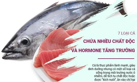 7 loại cá dễ chứa nhiều chất độc và hormone tăng trưởng, có loại nhiều người lại tưởng đại bổ