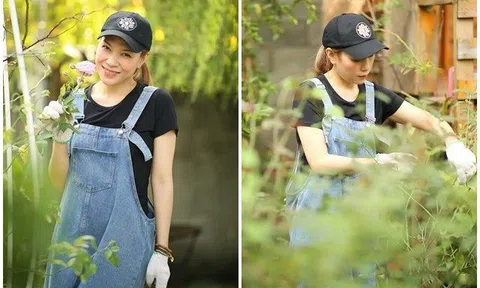 Sao Việt 24h: Mỹ Tâm bất ngờ nói về cách bước qua cô đơn, phải chăng đã chia tay tình trẻ Mai Tài Phến?