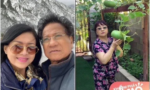 Về già sống an nhàn ở nước ngoài: Nghệ sĩ Chế Linh, Hương Lan trồng rau, quả cây lúc lỉu quả