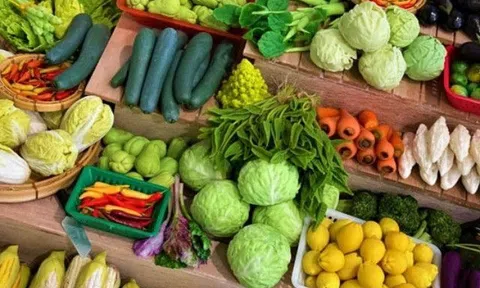 Bị sỏi thận có nên ăn rau mồng tơi không? Những loại rau tốt cho người bị sỏi thận