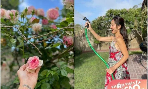 Kim Hiền sang Mỹ sống yên bình với chồng con, khoe biệt thự sân vườn rộng hơn ở quê