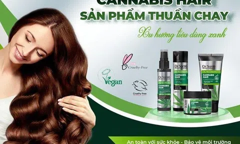 Lựa chọn sản phẩm chăm sóc tóc thuần chay xu hướng tiêu dùng mới