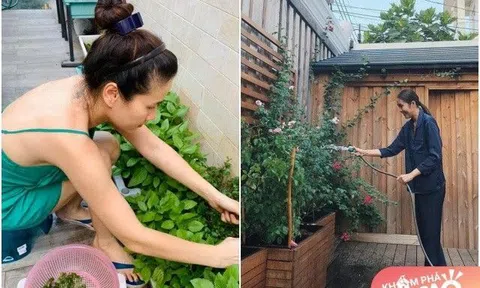 Cặp bạn thân tên Hà hôn nhân trái ngược, ở trong biệt thự, thích trồng rau dù giàu nứt đố