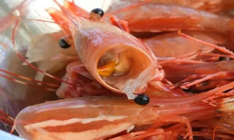 Ăn đầu tôm bổ dưỡng hay độc? Câu trả lời của chuyên gia khiến nhiều người thay đổi 180 độ