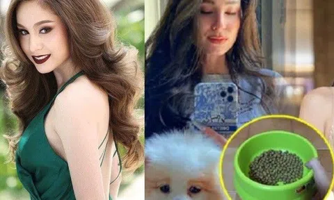 Bông hồng lai hàng đầu Thái Lan bị tố ép người giúp việc dùng đĩa đựng thức ăn cho chó