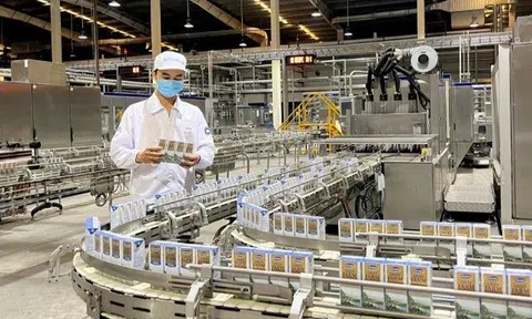 55% người tiêu dùng chọn tính bền vững là yếu tố rất quan trọng khi lựa chọn thương hiệu