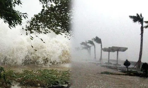 Bão Noru có nhiều điểm tương đồng với siêu bão Xangsane 2006 - cơn bão từng gây thiệt hại 10.000 tỷ đồng, khiến 76 người thương vong tại miền Trung