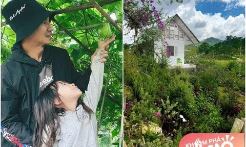 3 sao Việt tậu nhà trên Đà Lạt, nhìn nhà ai cũng đẹp như tranh, vườn rau trái bát ngát