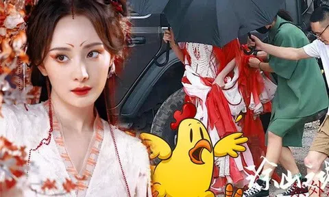 Bị chê già vẫn cặp trai trẻ, Dương Mịch cứ vén váy khoe siêu phẩm 29 tỷ đủ làm antifans "quay xe"