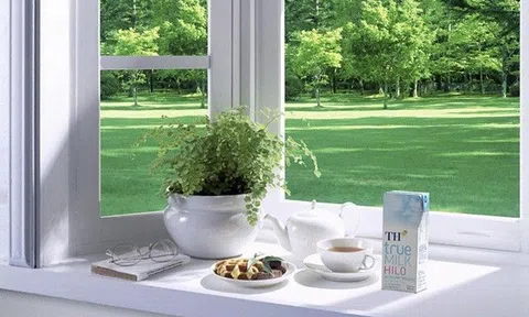 Từ sữa tươi sạch đến TH true Milk Gold: TH khẳng định vị thế ‘Chuyên gia dinh dưỡng’