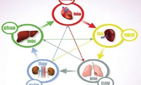 5 Loại quả khiến nội tạng “sợ hãi”, ăn sai cách khiến mắc bệnh suốt đời