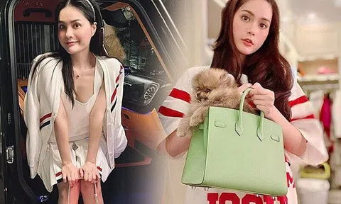 Sắm túi hiệu đựng cún cưng xưa rồi, Đoàn Di Băng nay về đội Hiền Hồ, mua "chó giả" nghìn đô