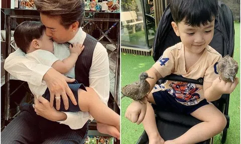 Con trai ruột bị xúc phạm, Đàm Vĩnh Hưng lên tiếng cảnh cáo, cho ekip canh giữ nhà