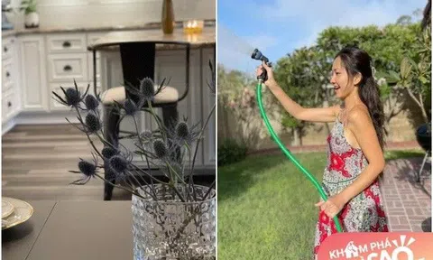 Bỏ showbiz theo chồng Việt kiều qua Mỹ, Kim Hiền tậu nhà mới, ngày ngày sống thảnh thơi