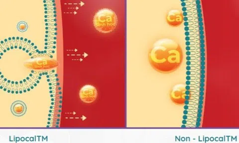 Công nghệ tiên tiến tạo sự khác biệt cho canxi sinh học từ sản phẩm Bestical