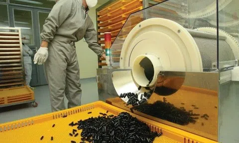 Traphaco và hành trình tiên phong thổi hồn sống hiện đại vào đông dược