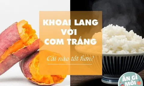 Cùng giàu tinh bột, tại sao nhiều người ăn khoai lang thay cơm giảm cân? Nó có thứ này nhiều hơn gạo tới 10 lần