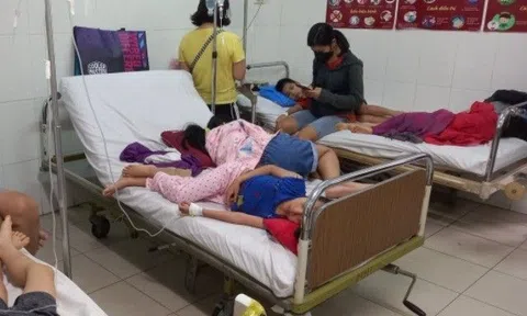 Hơn 600 học sinh trường Ischool Nha Trang ngộ độc nghi do nhiễm khuẩn Salmonella