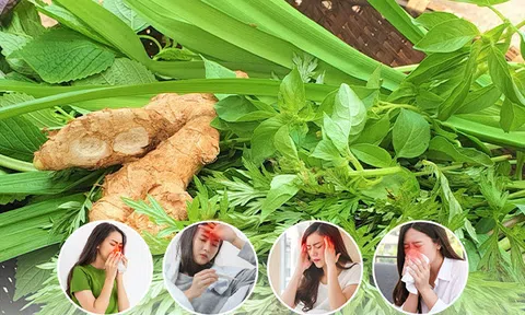 Giải pháp "tạm biệt" cảm cúm đơn giản, nguyên liệu sẵn có trong vườn nhà