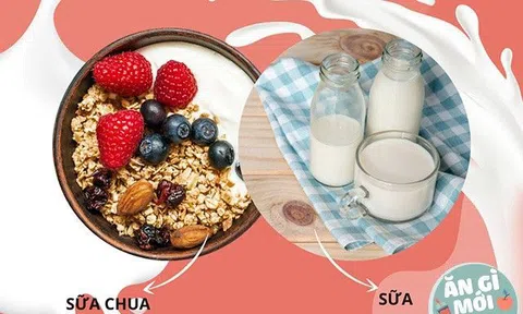 Sữa hay sữa chua tốt hơn? Có 3 ưu điểm lớn khi chọn loại này: tỷ lệ hấp thụ canxi cao, tốt cho ruột và ngừa ung thư