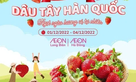 Trải nghiệm không giới hạn dâu tây Hàn Quốc tươi ngon cùng Biovegi Việt Nam