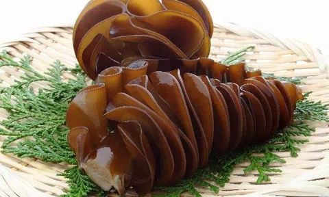 Tăng cường miễn dịch từ chất siêu nhờn của tảo nâu