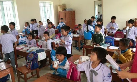 Bổ sung vi khuẩn có lợi - cách cha mẹ "khoa học" cải thiện hệ miễn dịch cho con đơn giản, hiệu quả