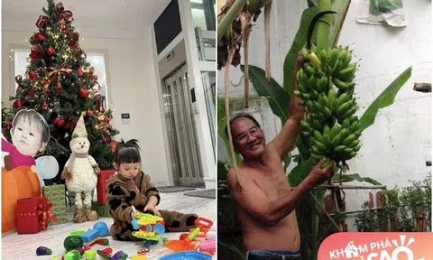 Con gái lấy chồng giàu: bố mẹ Đàm Thu Trang sống trong biệt thự từ trước, bố mẹ Tăng Thanh Hà giữ thói quen tự trồng rau